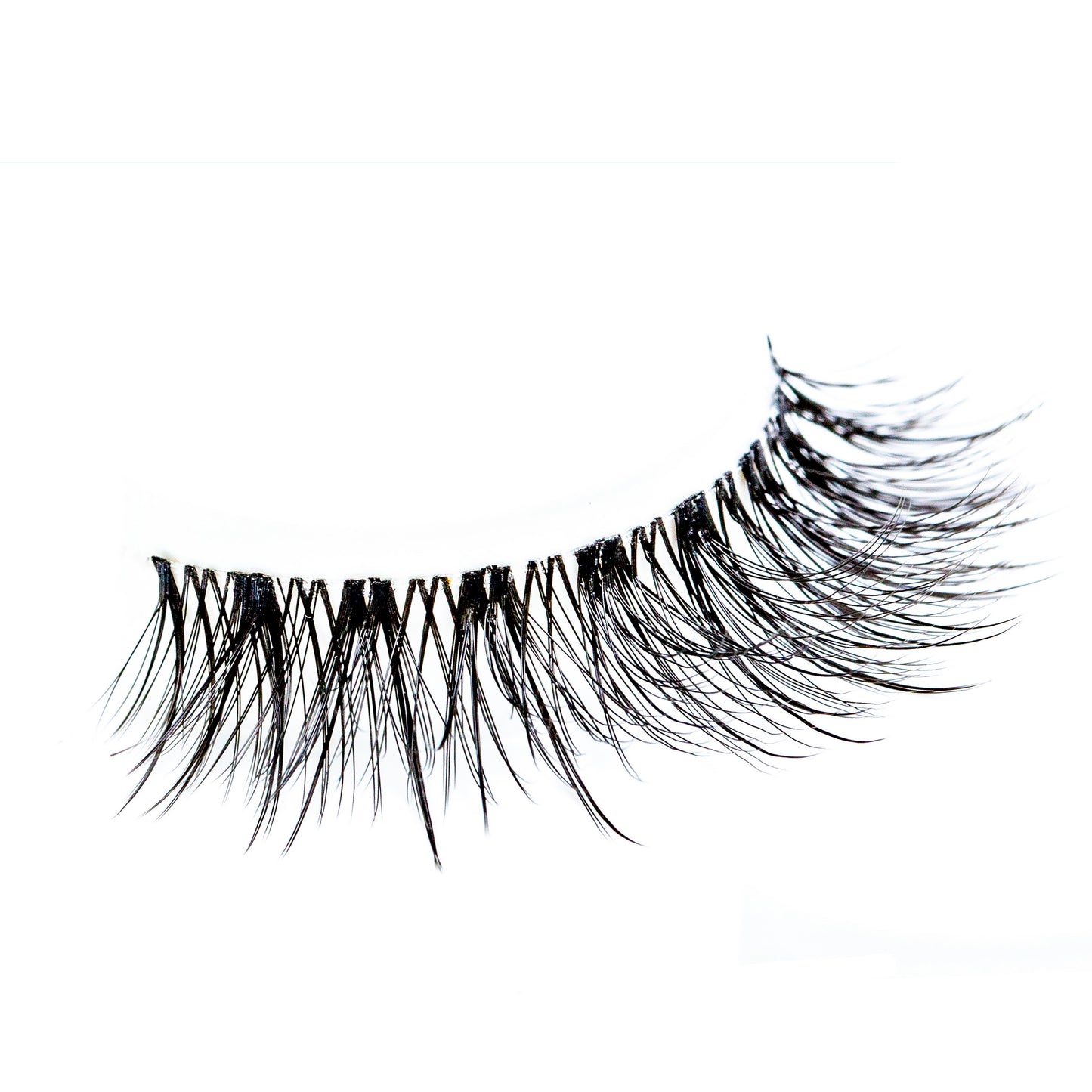 Soft Glam Collection